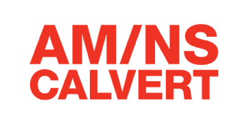 AMNS Primary Logo sm